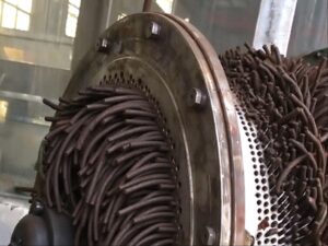 ring-die extrusion granulator